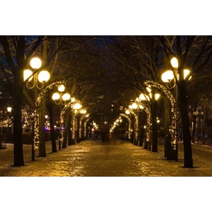 Decorative Street Light Poles for Lighting and Adding Beauty to Street Light Accessories